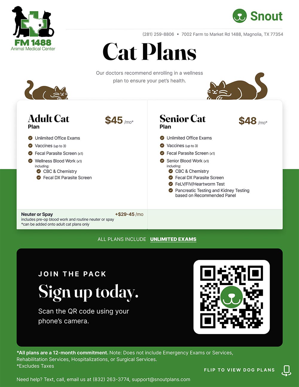 Senior Cat Wellness Plans with Snout Senior Cat Wellness Plans with Snout