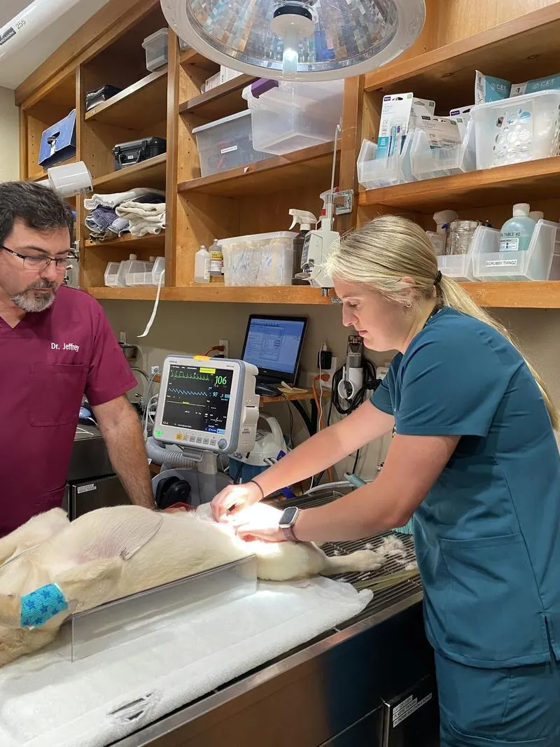 Dr. Jeffrey and a technician monitoring a patient